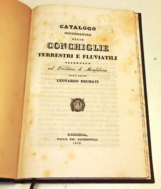 Catalogo Conchiglie terrestri e fluviatili - Brumati - Paternolli - 1838- XFS111