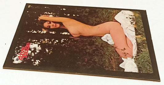 LW- RVISTA LE DIVE NUDE 3 LUGLIO 1971 EDWIGE FENECH - INTEREUROPA - RVSa452