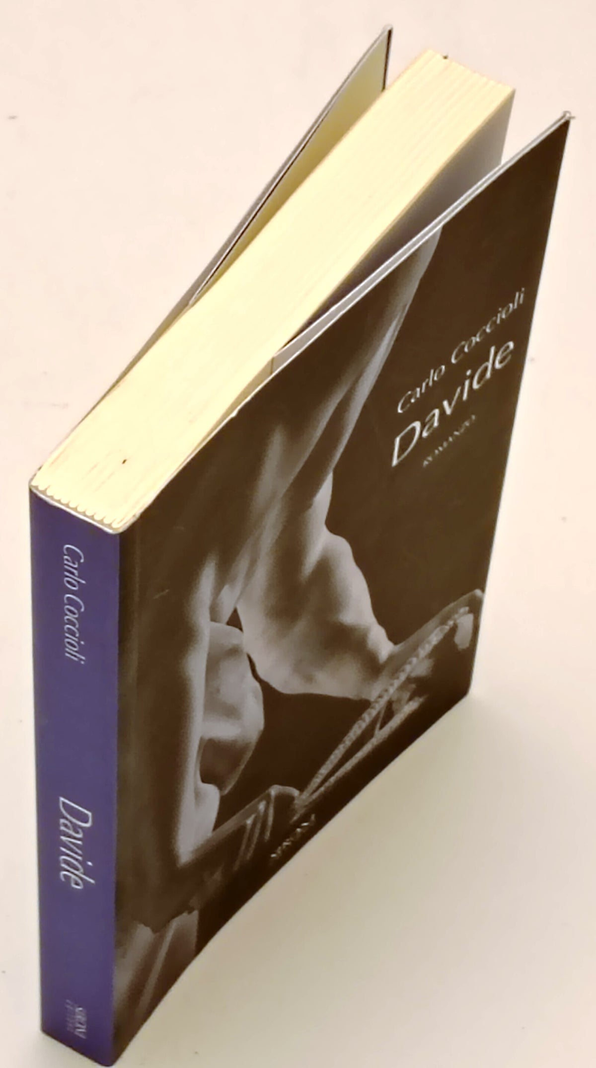 Davide - Carlo Coccioli - Sironi Questo e altri mondi - 1a ed. - ZFS277
