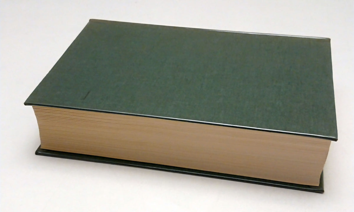 Discussioni linguistiche del 500 - UTET Classici Italiani - 1a ed. 1988 - XFS