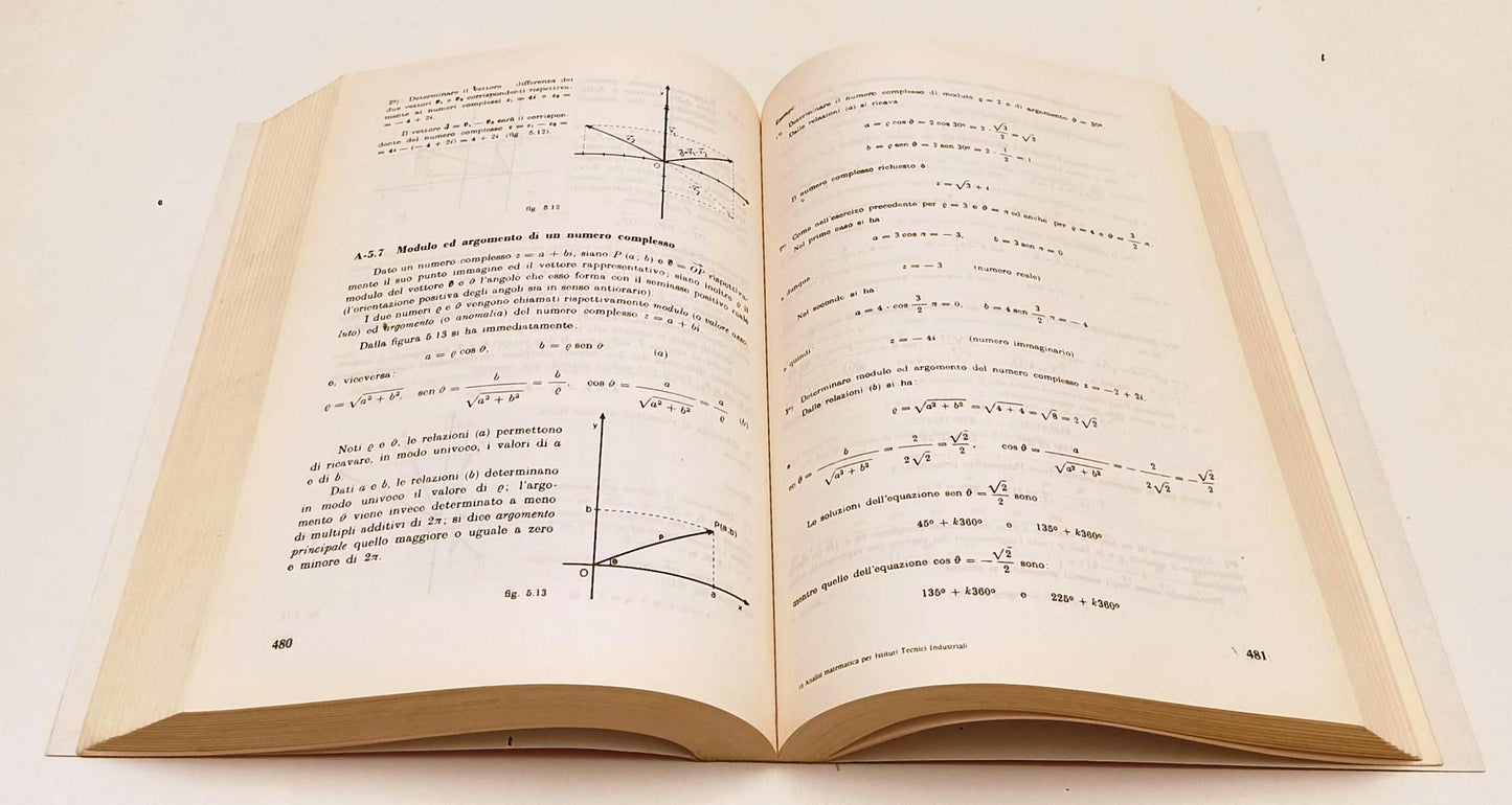 LZ- ELEMENTI GEOMETRIA ANALITICA ANALISI MATEMATICA- TONOLINI- MINERVA- B-YFS567