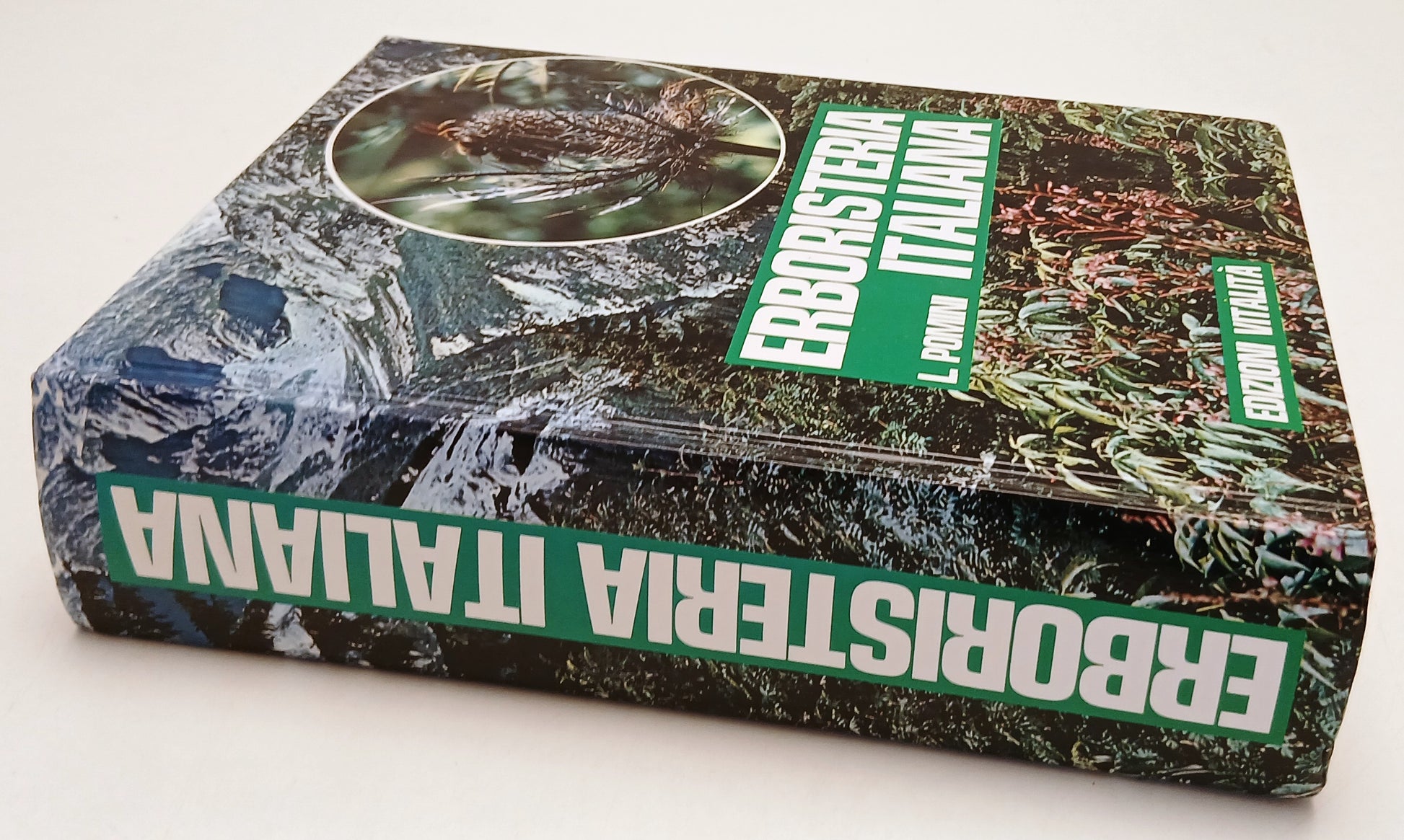 LZ- ERBORISTERIA ITALIANA - L. POMINI - EDIZIONI VITALITA' --- 2000 - C - YFS637