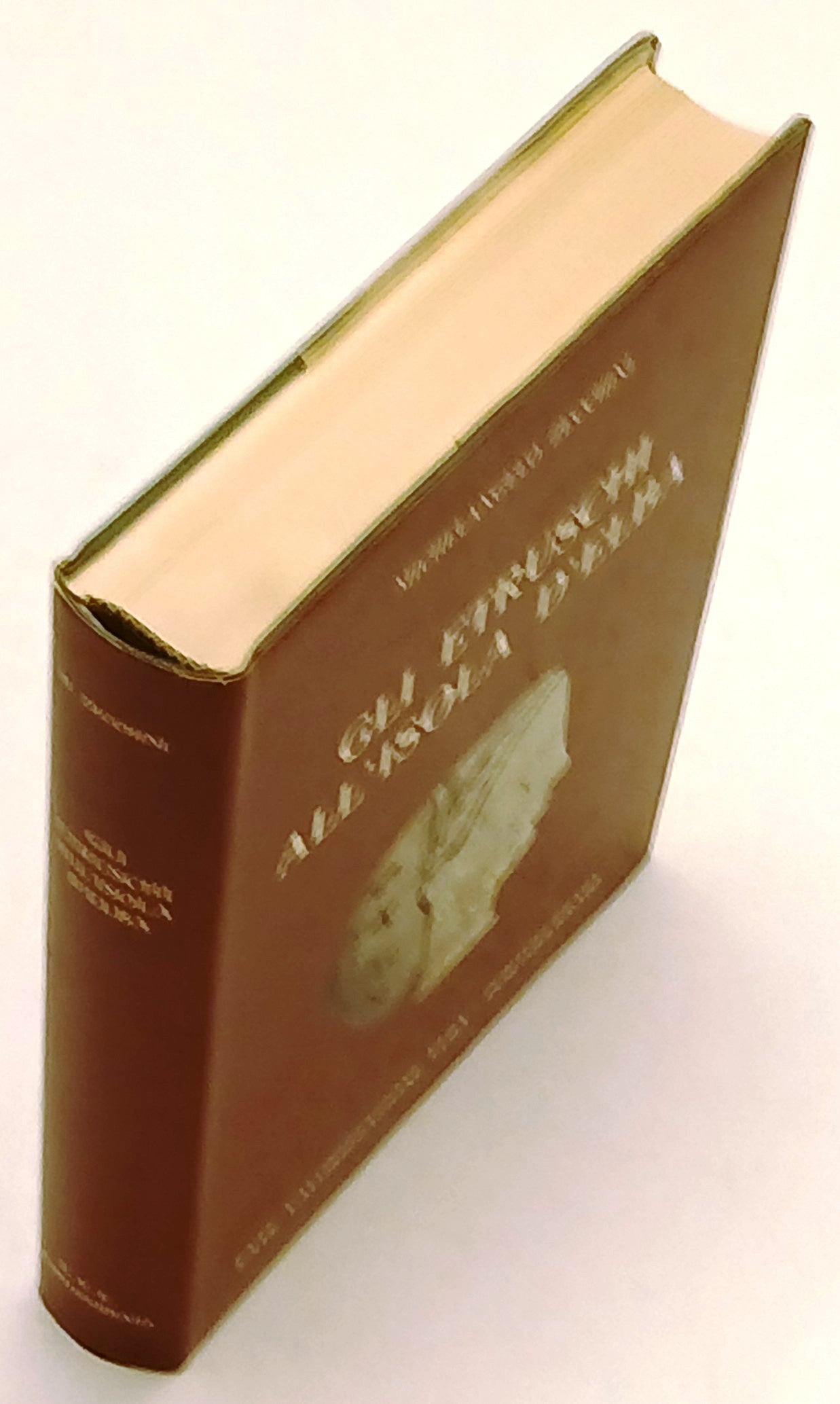 Gli Etruschi all'Isola d'Elba - Michelangelo Zecchini - 1a ed. - tavole - ZFS48