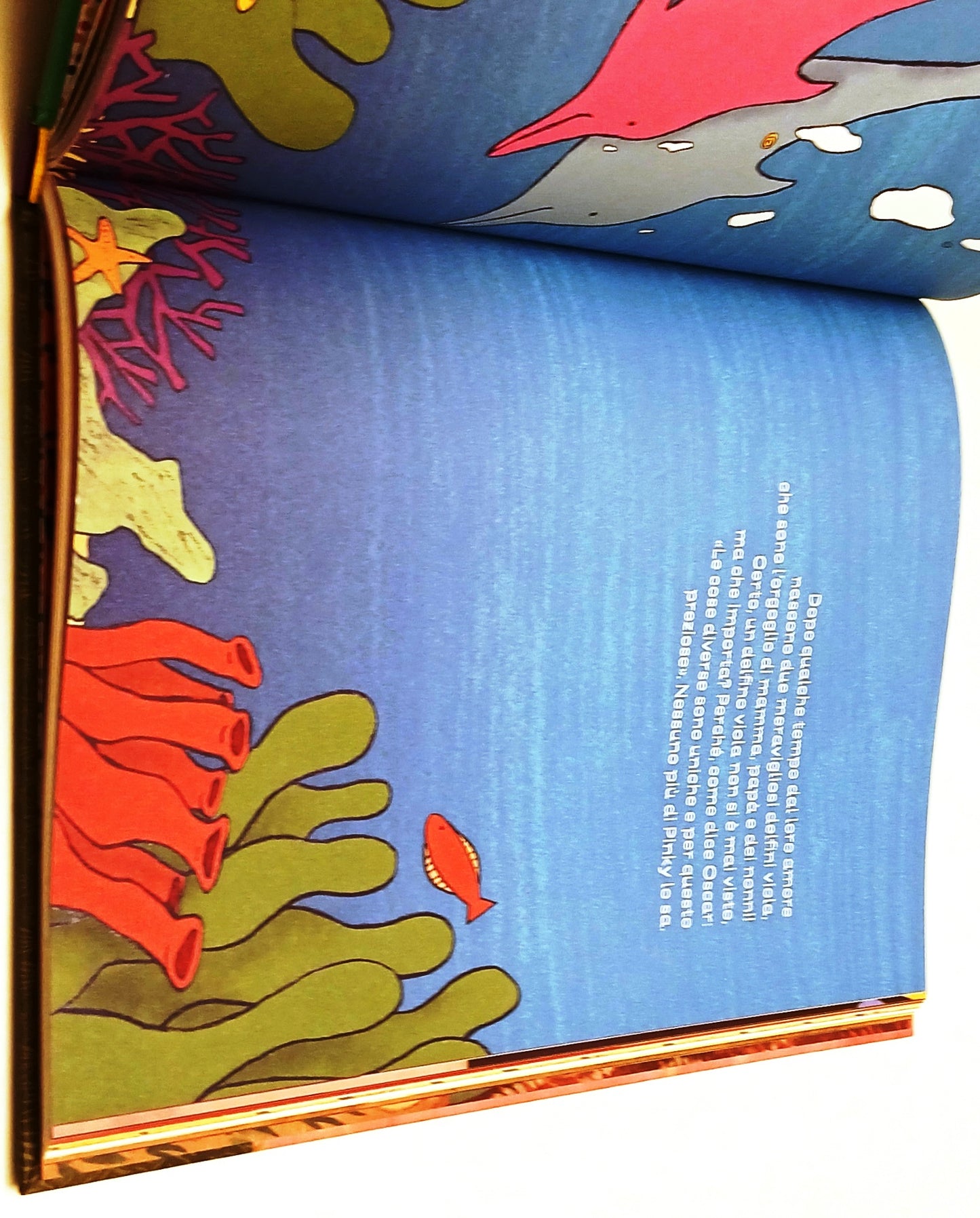 Famiglie favolose - Maddaloni Radaelli - Salani  -1a ed. - YFS74