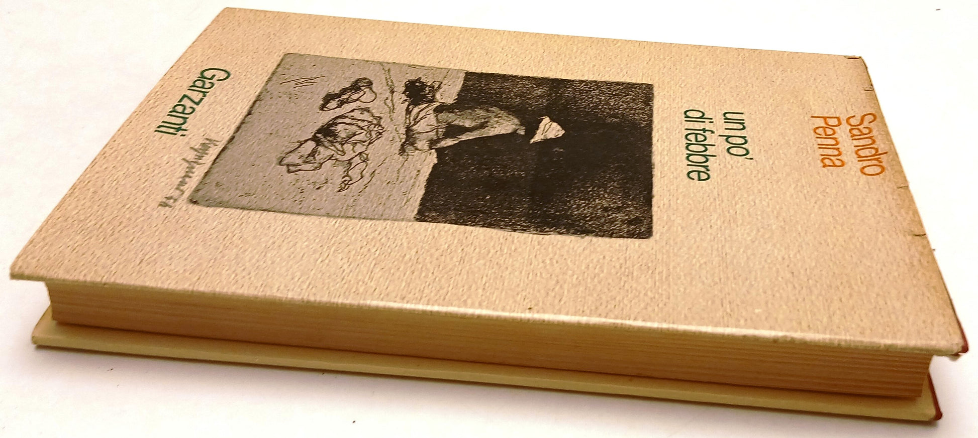 LN- UN PO' DI FEBBRE - SANDRO PENNA - GARZANTI - 1a ED.- 1973- CS- ZFS82