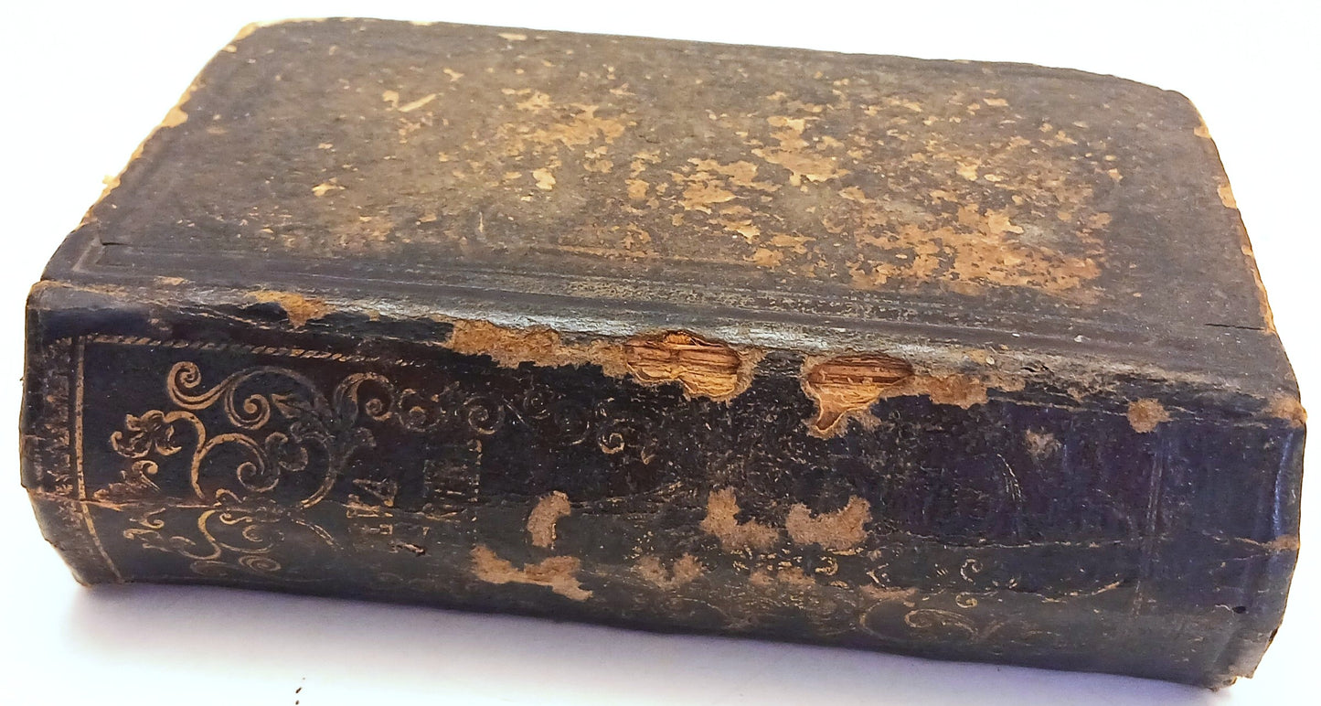 Manuale di Filotea - Giuseppe Riva - Serafino Majocchi - 1883 - LCH26