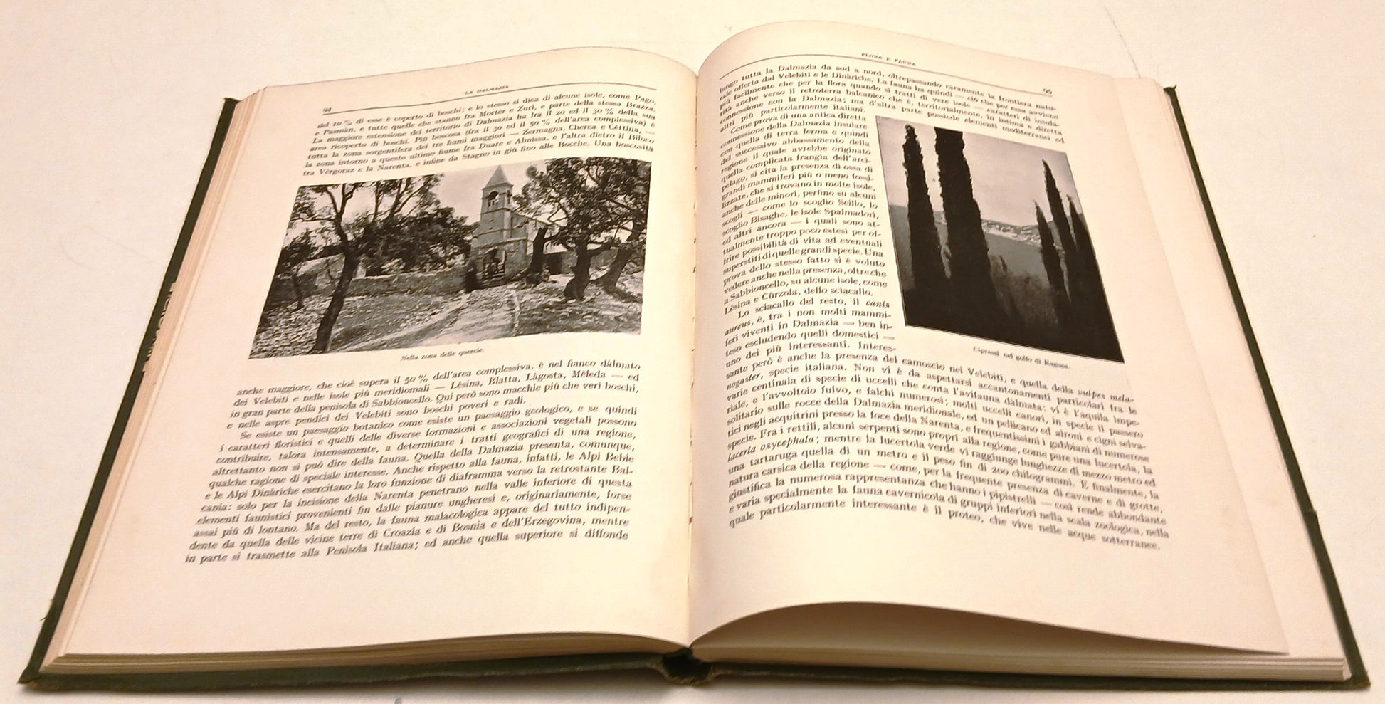 Fiume Dalmazia - Dainelli - UTET La Patria Geografia d'Italia - 1925 - YFS311