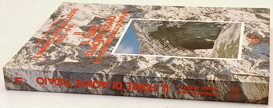 Le fortificazioni del Cadore Monte Tudaio- De Dona' Musizza- Ribis- 1a - ZFS246