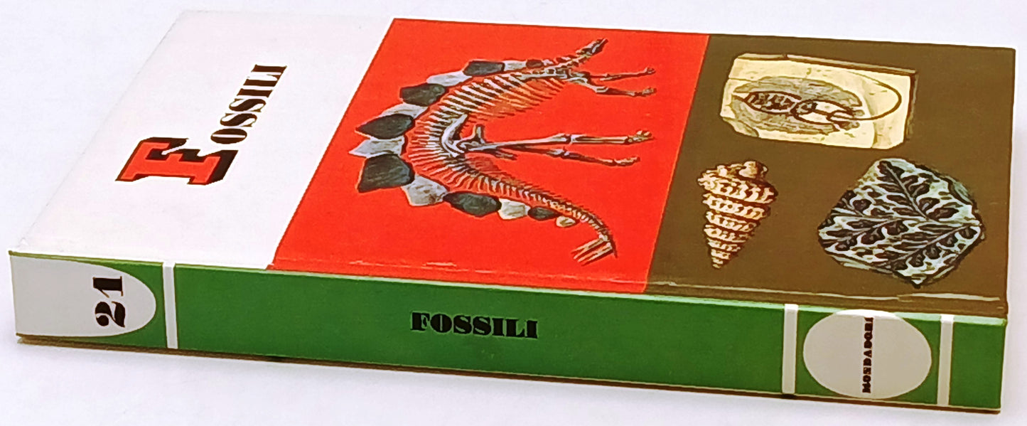 Piccole Guide Mondadori - illustrato a colori - scegli il titolo - ZFS164