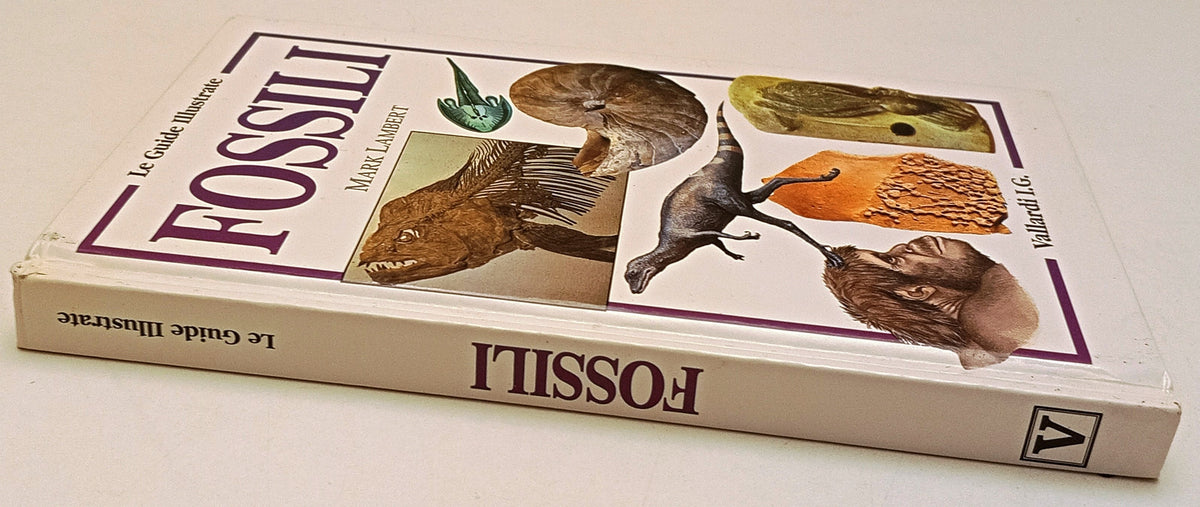 Fossili - Mark Lambert - Vallardi Le Guide Illustrate - 1a ed. - ZFS317