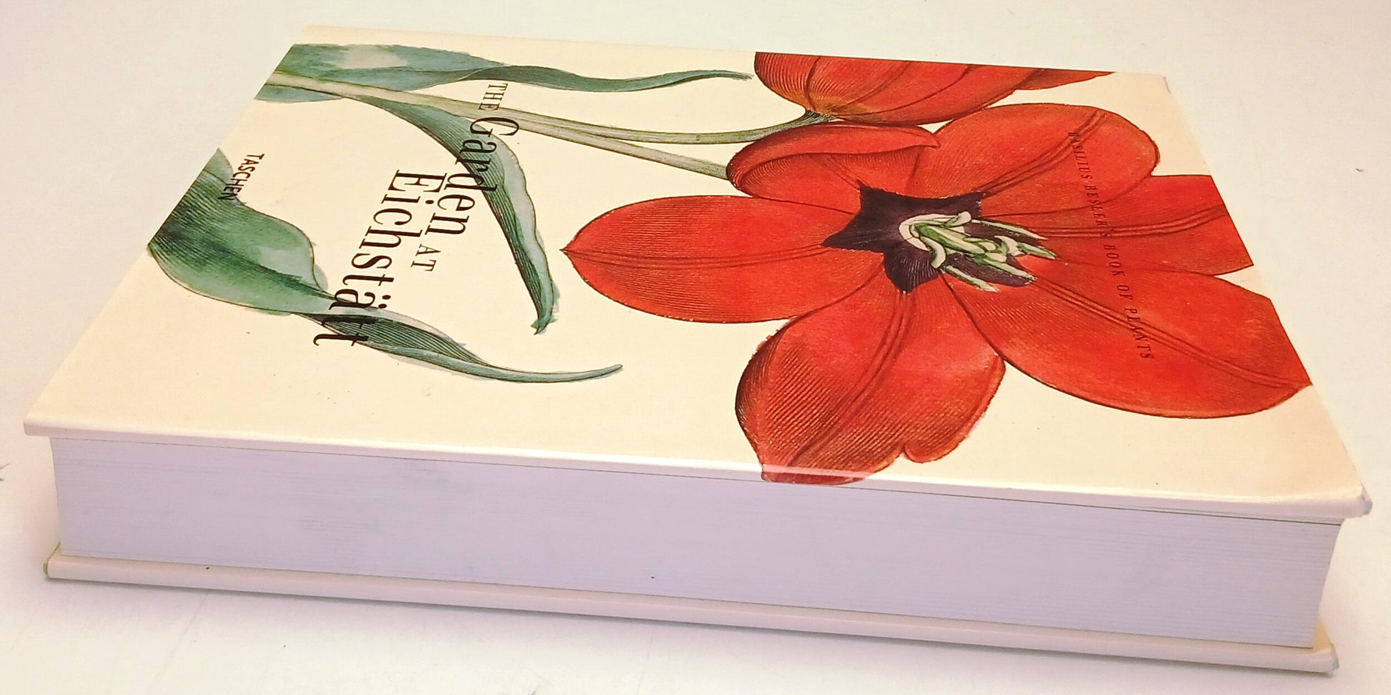 The Garden at Eichstatt Book fo Plants- Basilius Besler- Taschen- inglese-ZFS319