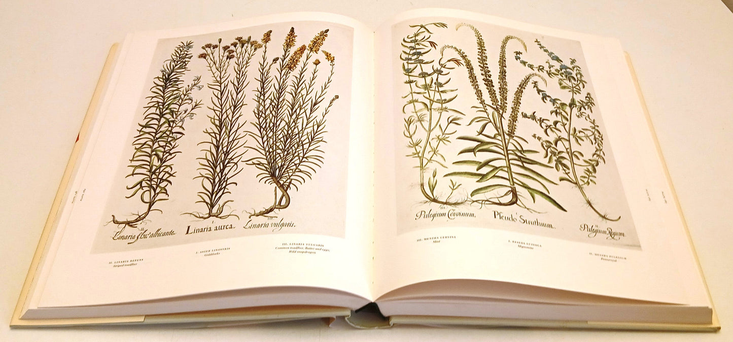 The Garden at Eichstatt Book fo Plants- Basilius Besler- Taschen- inglese-ZFS319
