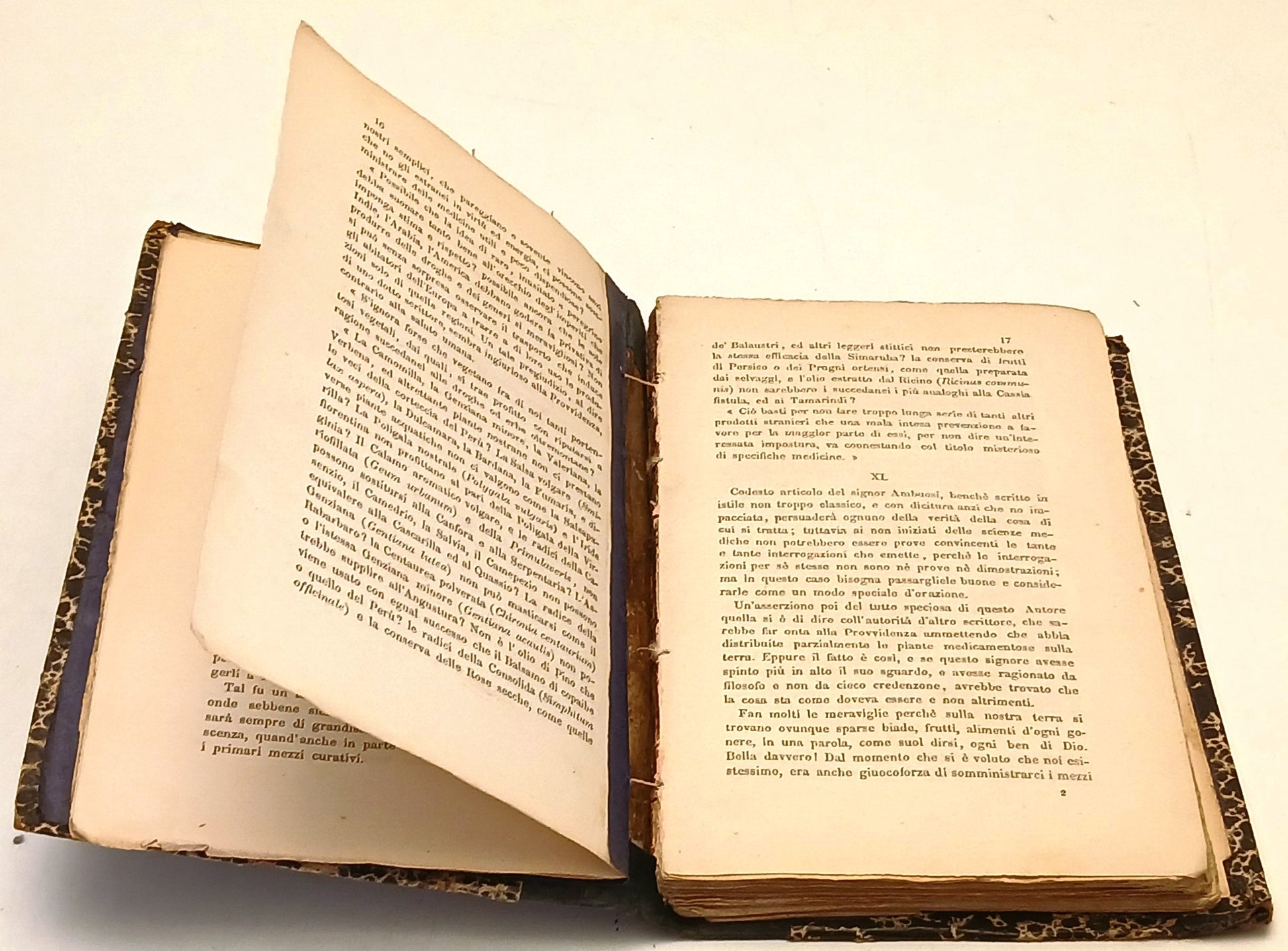 Il giardiniere medico Manuale Erborario - Corbelli - Guigoni - 1883 - XFS111