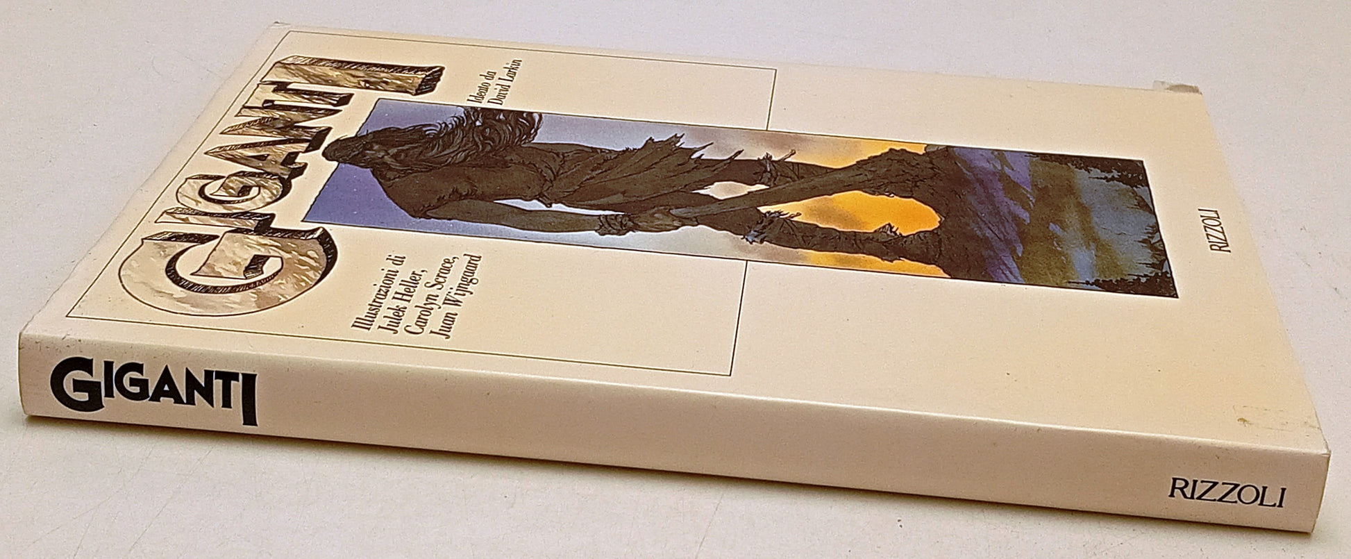 Giganti - David Larkin Sarah Teale - Rizzoli - 1a ed. - illustrato - YFS460