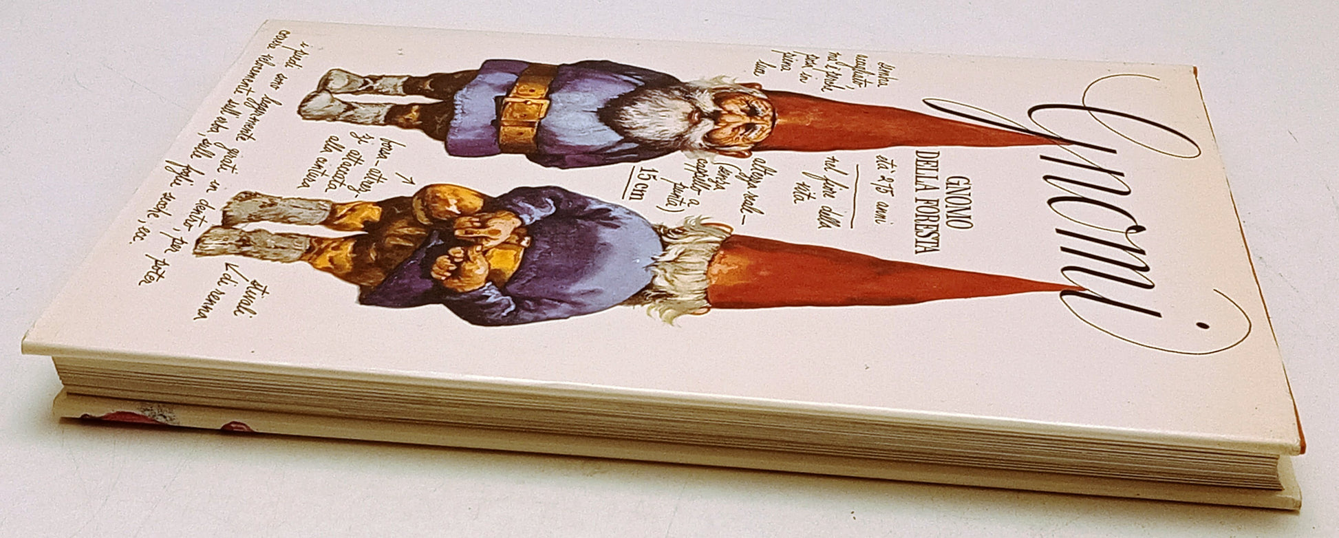 Gnomi Gnomo della foresta - Poorvliet Huygen - Rizzoli - 1a ed. - poster- YFS454