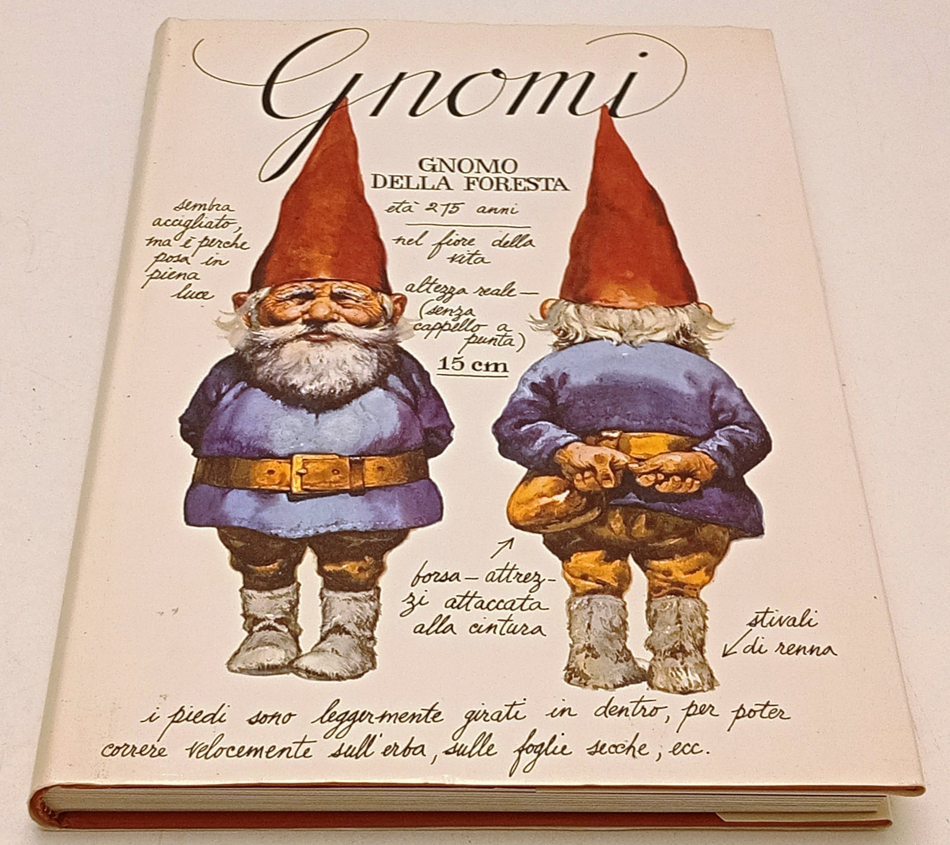 Gnomi Gnomo della foresta - Poorvliet Huygen - Rizzoli - 1a ed. - poster- YFS454