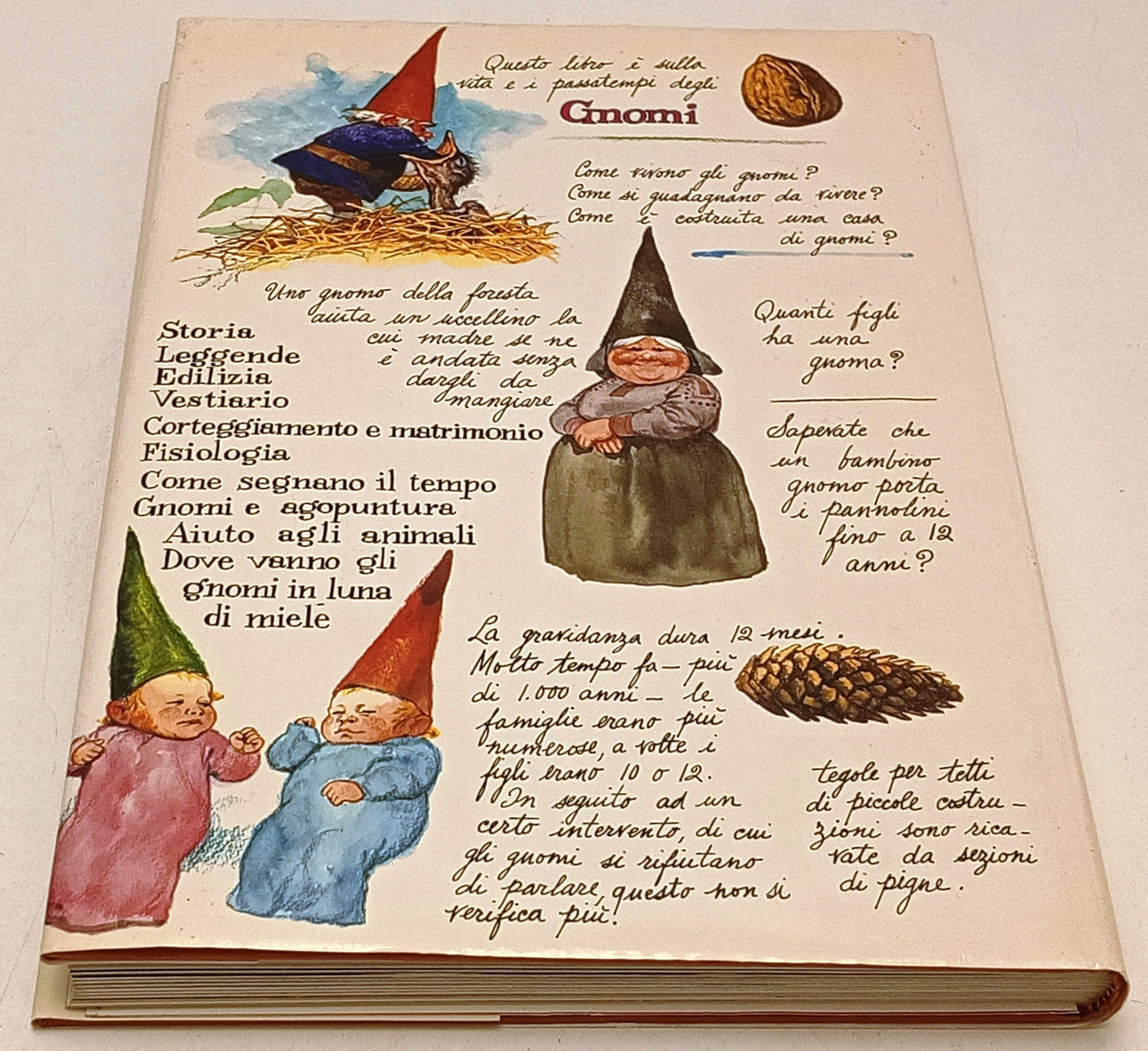 Gnomi Gnomo della foresta - Poorvliet Huygen - Rizzoli - 1a ed. - poster- YFS454