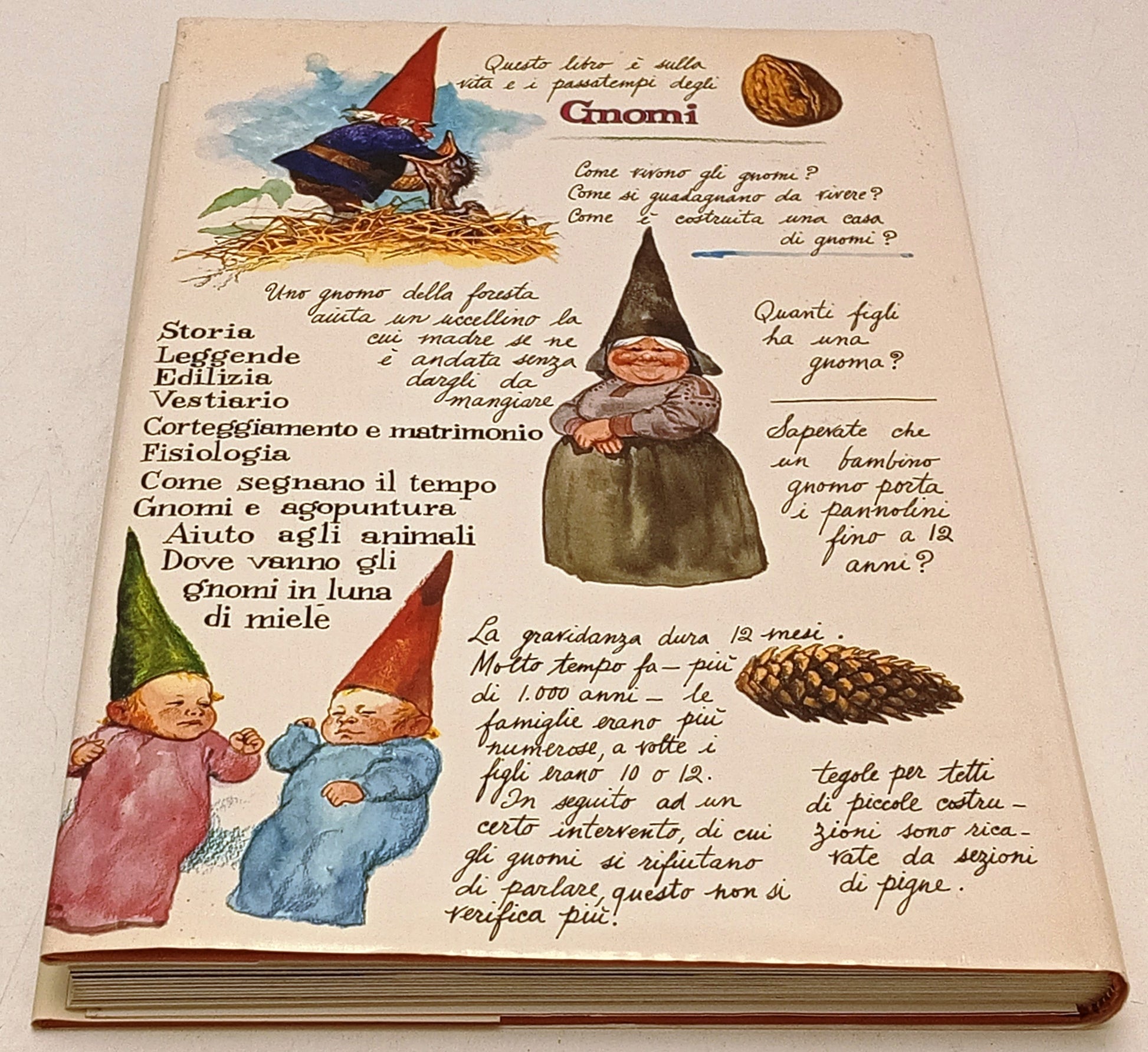 Gnomi Gnomo della foresta - Poorvliet Huygen - Rizzoli - 1a ed. - poster- YFS454