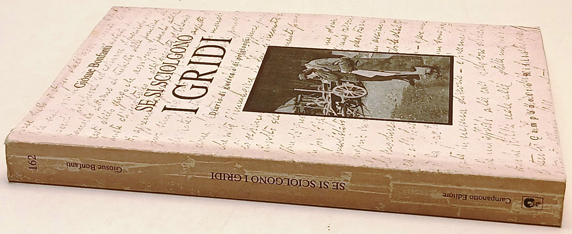 Se si sciolgono i Gridi- Giosue Bonfanti- Campanotto Rifili Zeta- 1a ed.- ZFS233