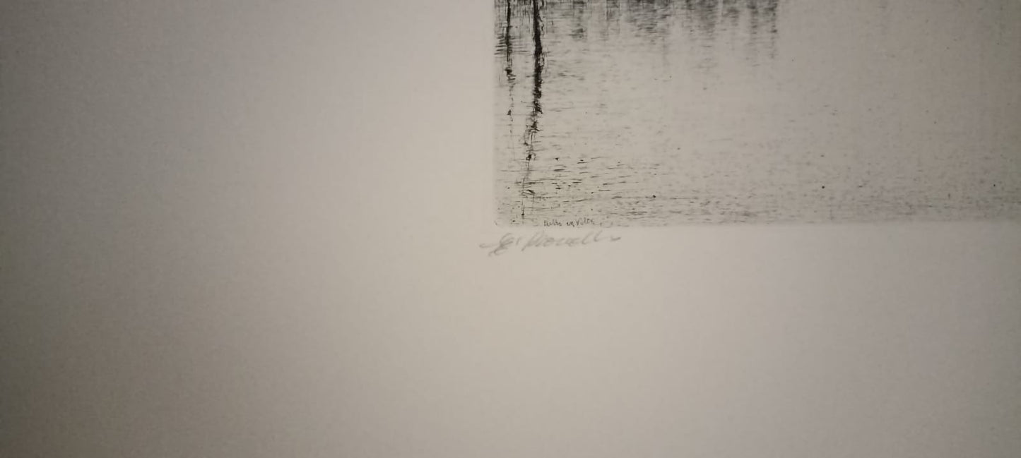 LIBRO D'ARTISTA - GUERRINO BONALDO LAGUNA CON 5 ACQUEFORTI ACQUAFORTE ORIGINALI