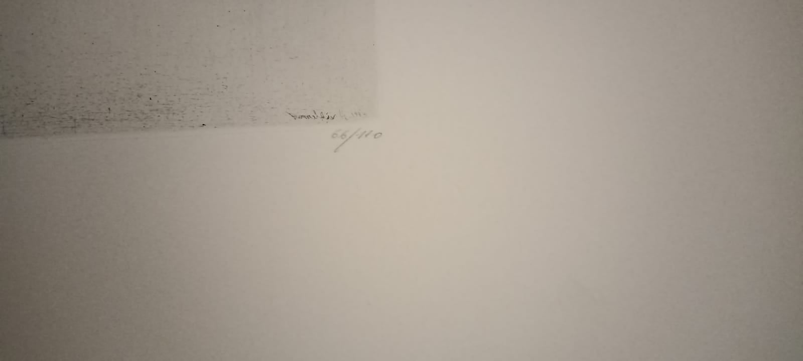 LIBRO D'ARTISTA - GUERRINO BONALDO LAGUNA CON 5 ACQUEFORTI ACQUAFORTE ORIGINALI