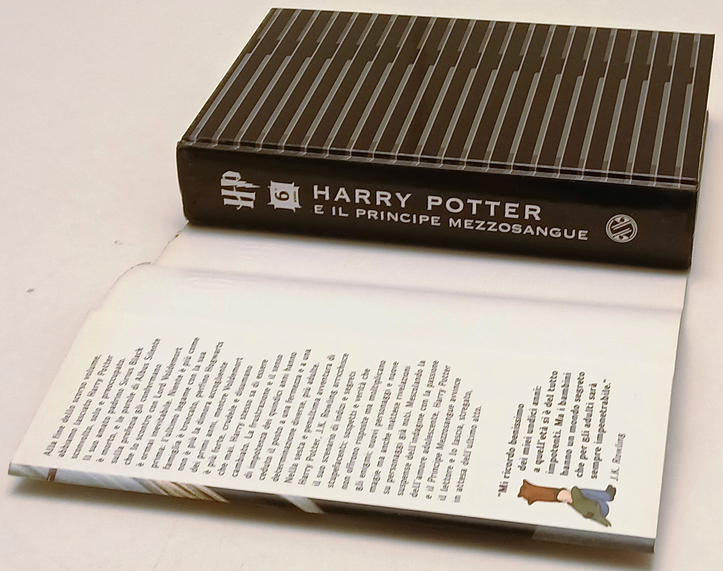 Harry Potter e il Principe Mezzosangue - J. K. Rowling - Salani - 1a ed.- ZFS236