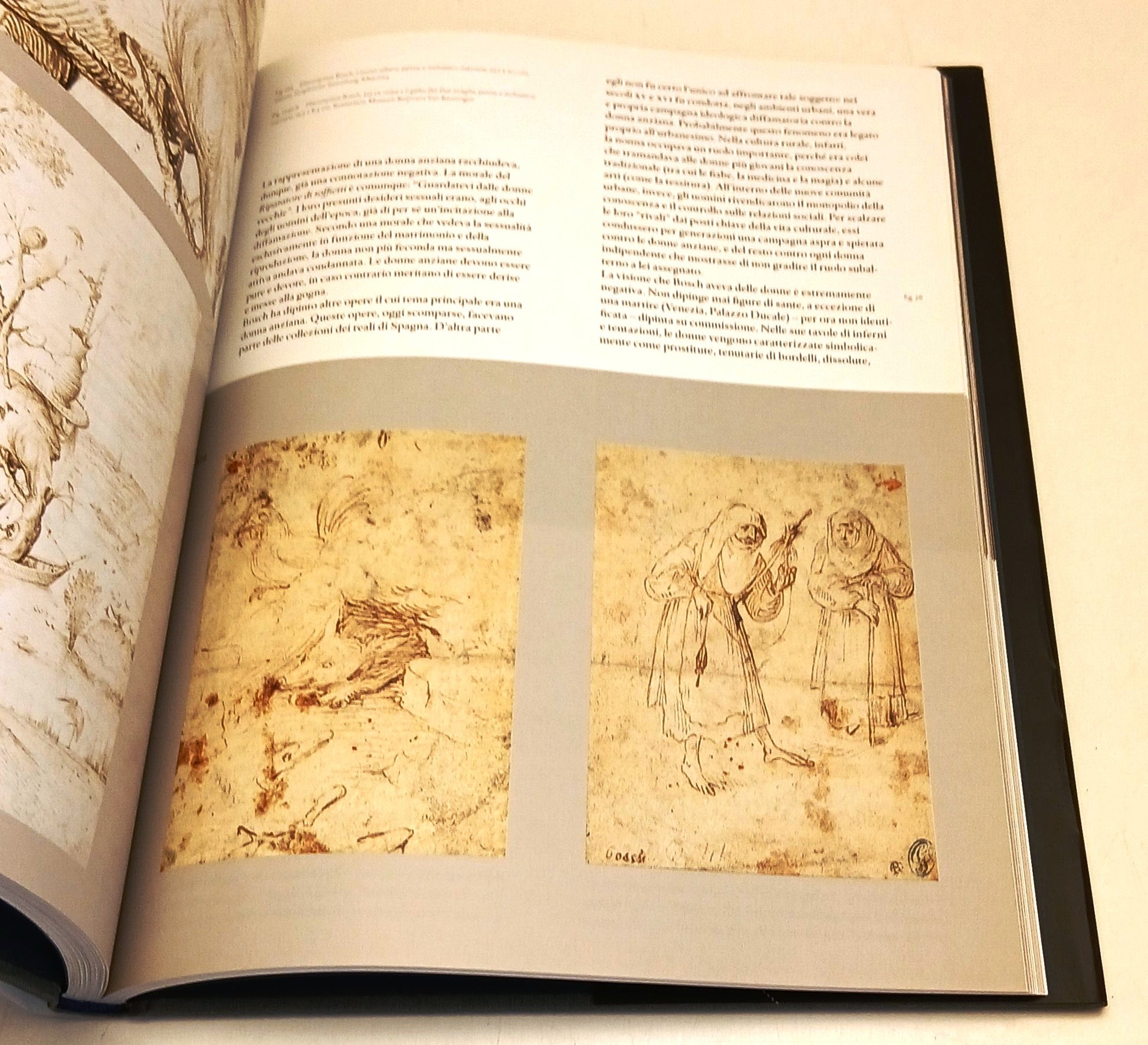 Hieronymus Bosch Catalogo completo - Rizzoli - 1a ed. - mostra Rotterdam- YFS682