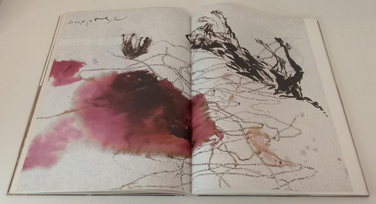 LT- VELASCO TANA CATALOGO D'ARTE ILLUSTRATO - ART BOOK - 2006 - C - YFS104