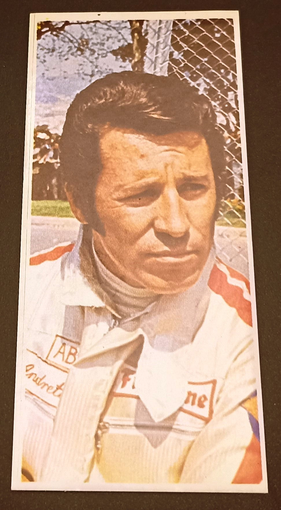 RACING CARD - ALEMAGNA - G.P. FORMULA 1 1978 - MARIO ANDRETTI - 23 - EF