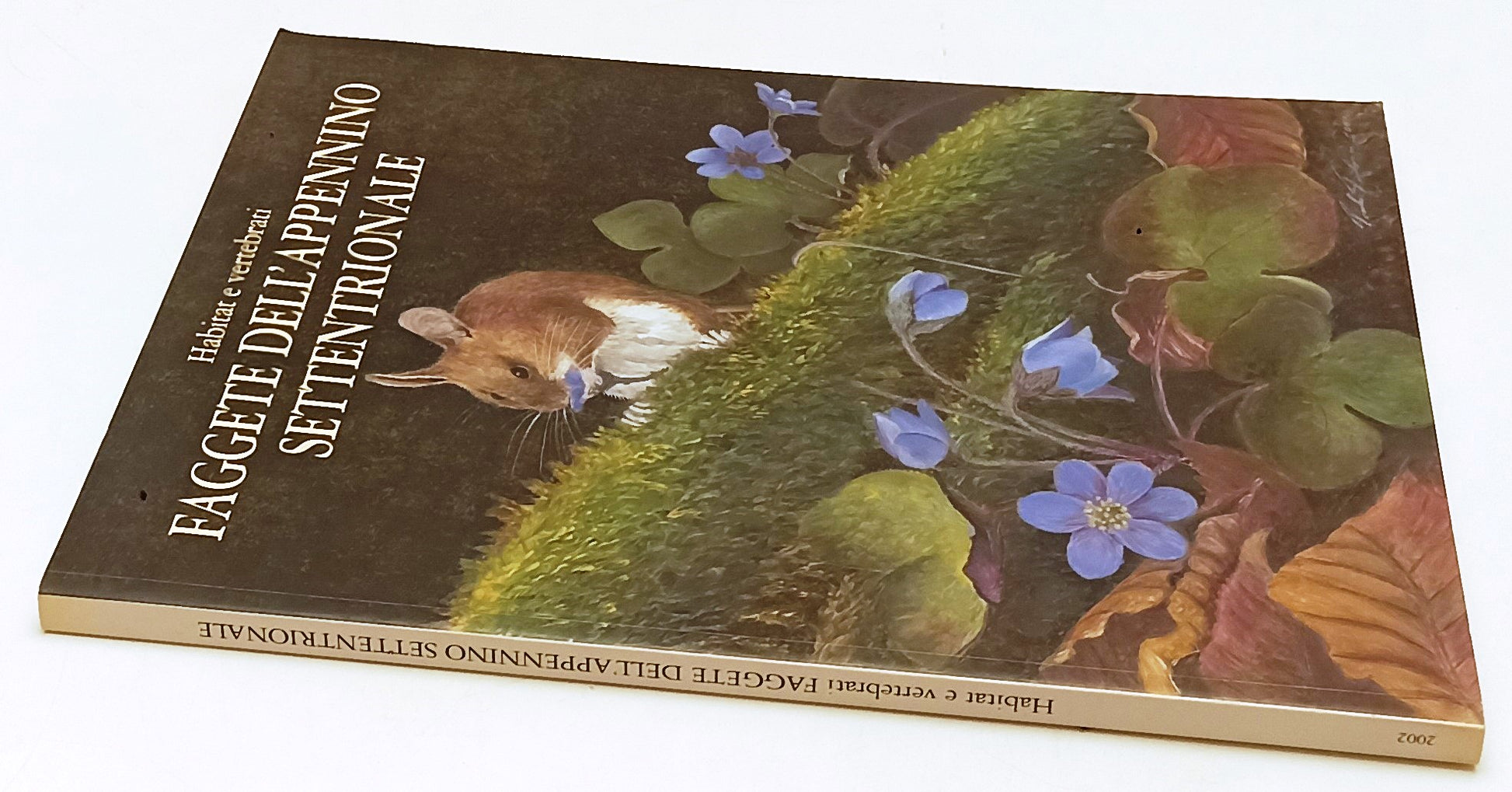 LV- HABITAT E VERTEBRATI FAGGETE APPENNINO SETTENTRIONALE - ARCARI- 2002- YFS363