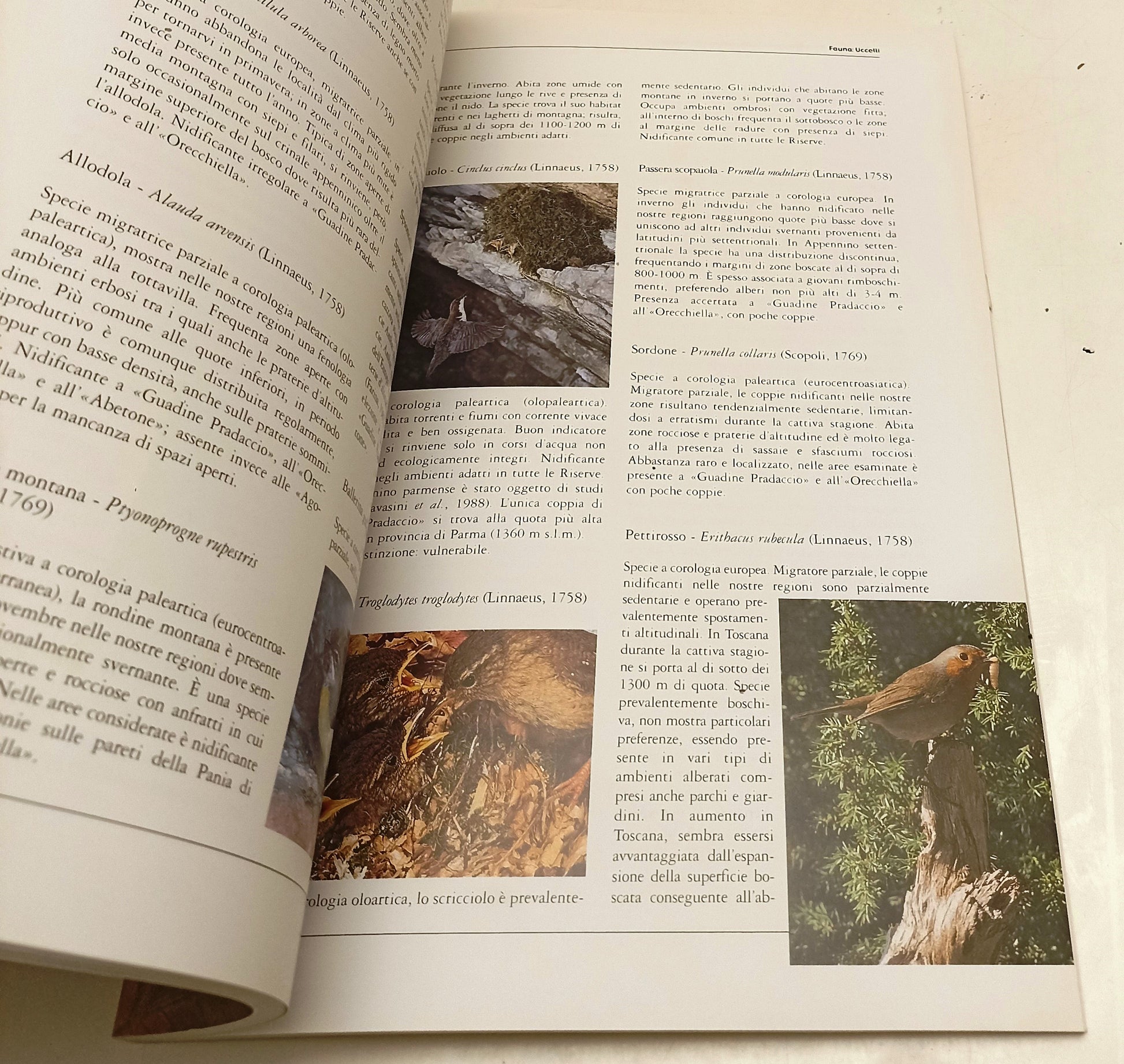 LV- HABITAT E VERTEBRATI FAGGETE APPENNINO SETTENTRIONALE - ARCARI- 2002- YFS363