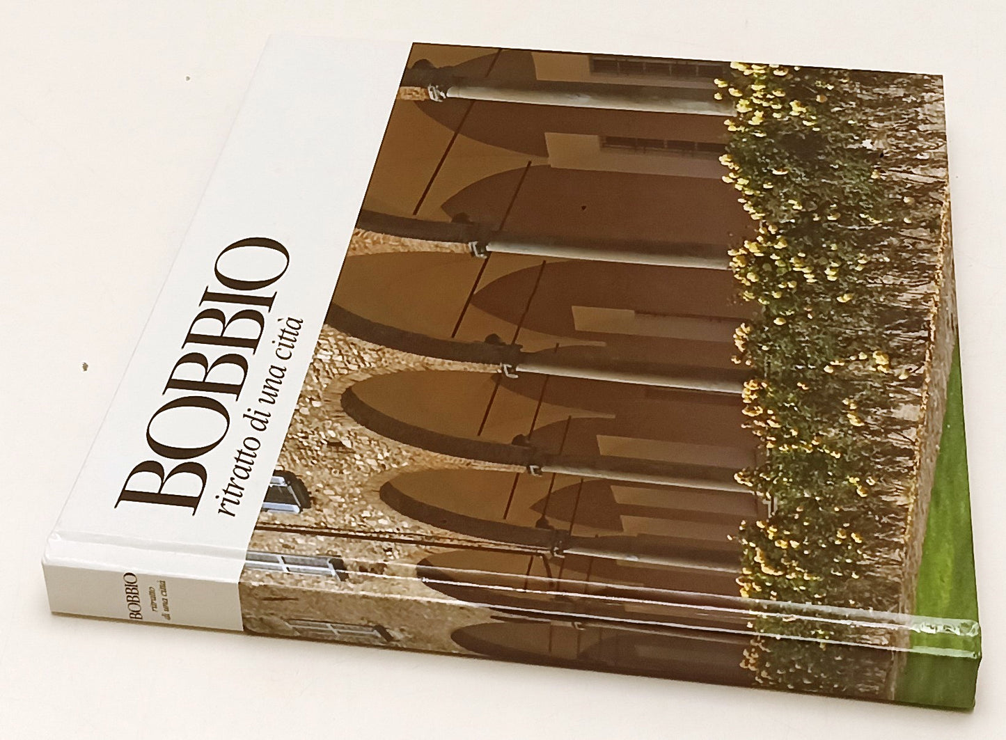 LV- BOBBIO RITRATTO DI UNA CITTA'- COLETTO OLMI- LA TREBBIA- BOBBIO--- C- YFS363