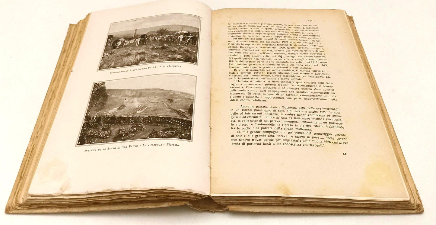LS- SUD AMERICA NOTE E IMPRESSIONI DI VIAGGIO - ZOLI - ROMA - 1927 - C- ZFS193