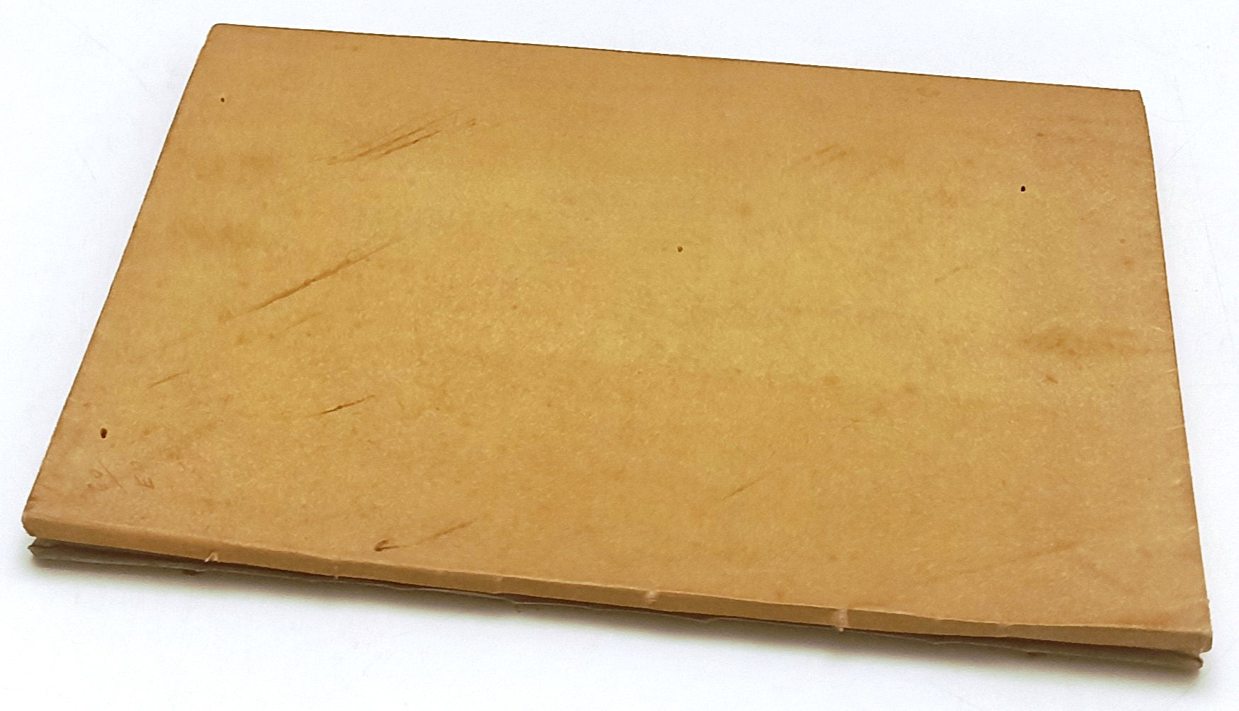 LH- UNA VITA NUOVA THE NEW LIFE ill. RAZZOLINI- DANTE ALIGHIERI- 1906- B- XFS120