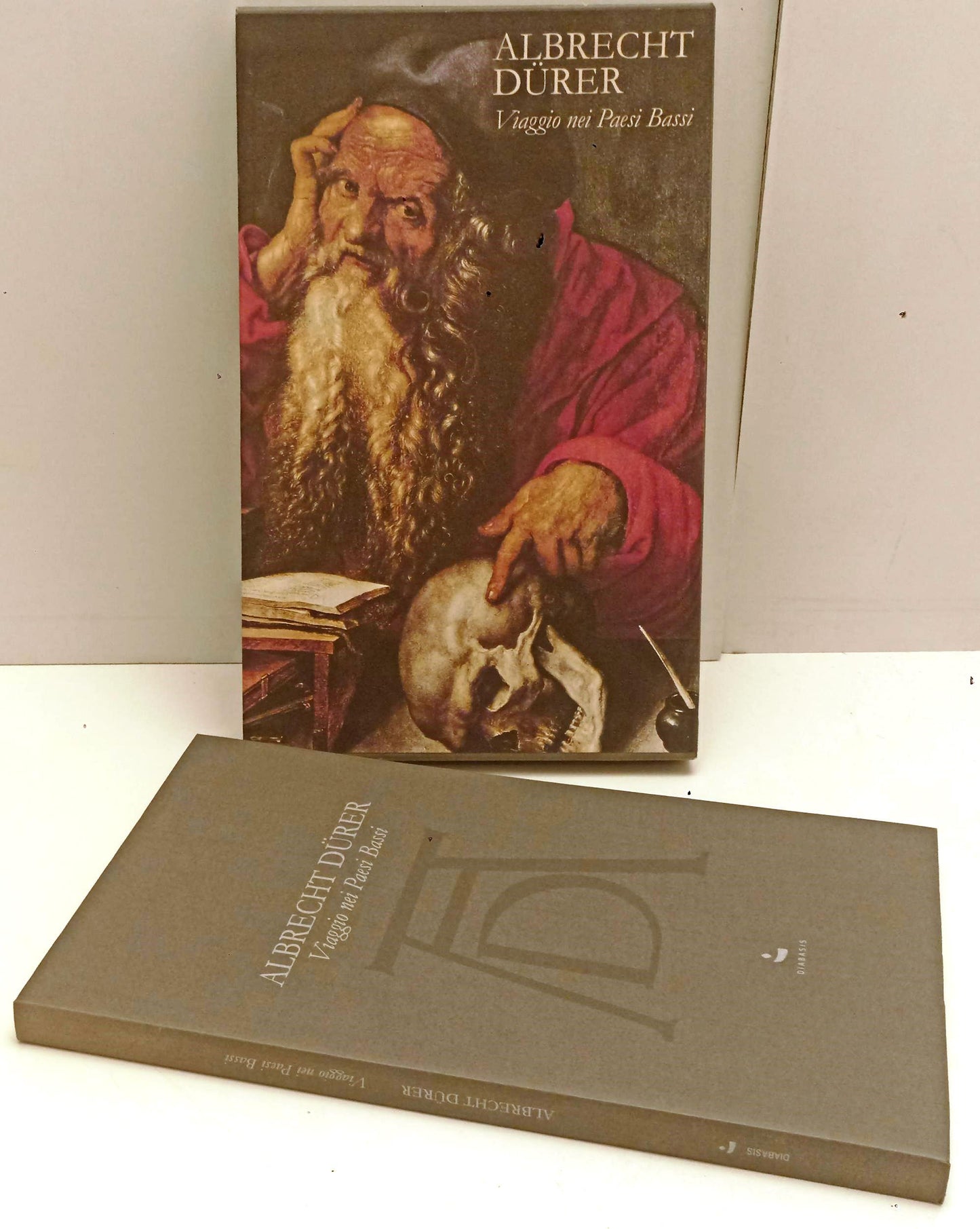 LT- ALBRECHT DURER VIAGGIO NEI PAESI BASSI -- DIABASIS --- 2005 - B- YFS526