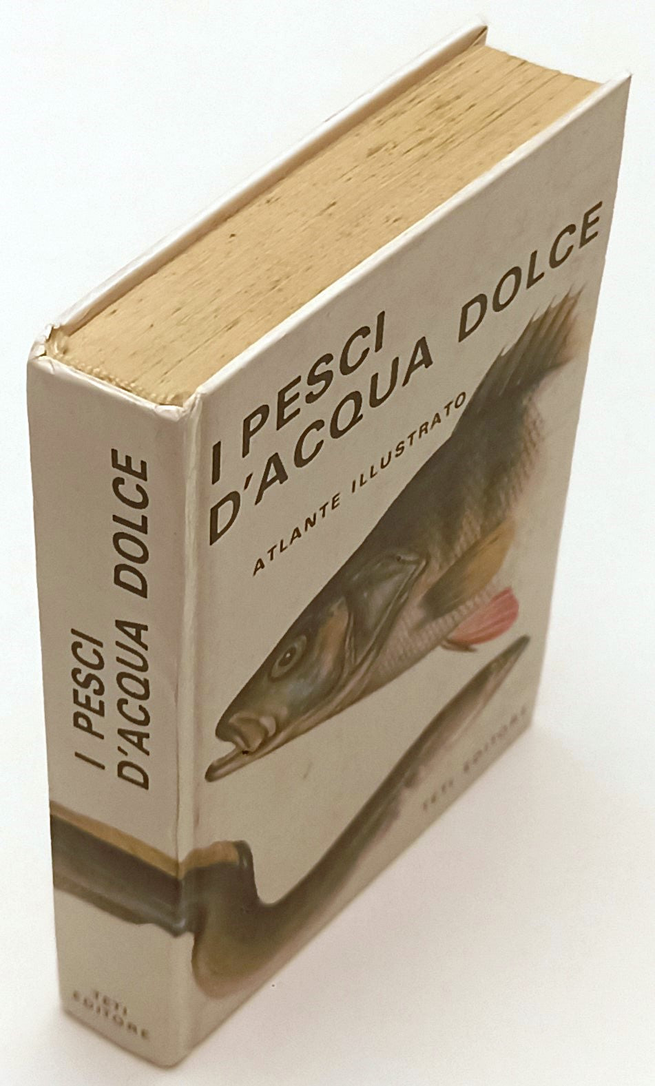 LZ- I PESCI D'ACQUA DOLCE ATLANTE ILLUSTRATO -- TETI --- 1975 - C - YFS327