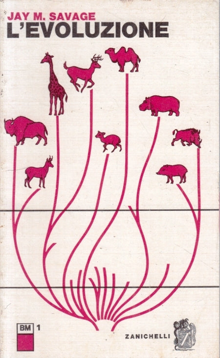 LZ- L'EVOLUZIONE - JAY M. SAVAGE- ZANICHELLI- BIOLOGIA MODERNA-- 1965- B- YFS627