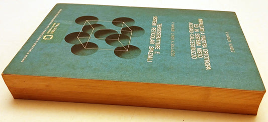 Piastre Ortotrope Tensostrutture Reticolati- Matildi Mele Foti- Italsider-ZFS255