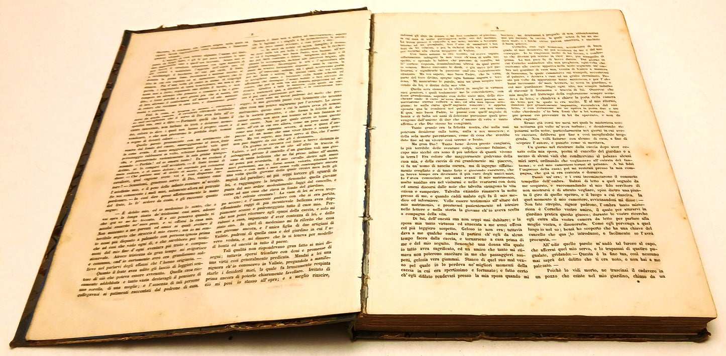 Letture di Famiglia Illustrata Incisioni acciaio - Lloyd Austriaco- 1885- YFS922