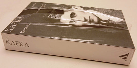 Romanzi - Franz Kafka - Mondadori Panorama I meridiani - blisterato cofanetto