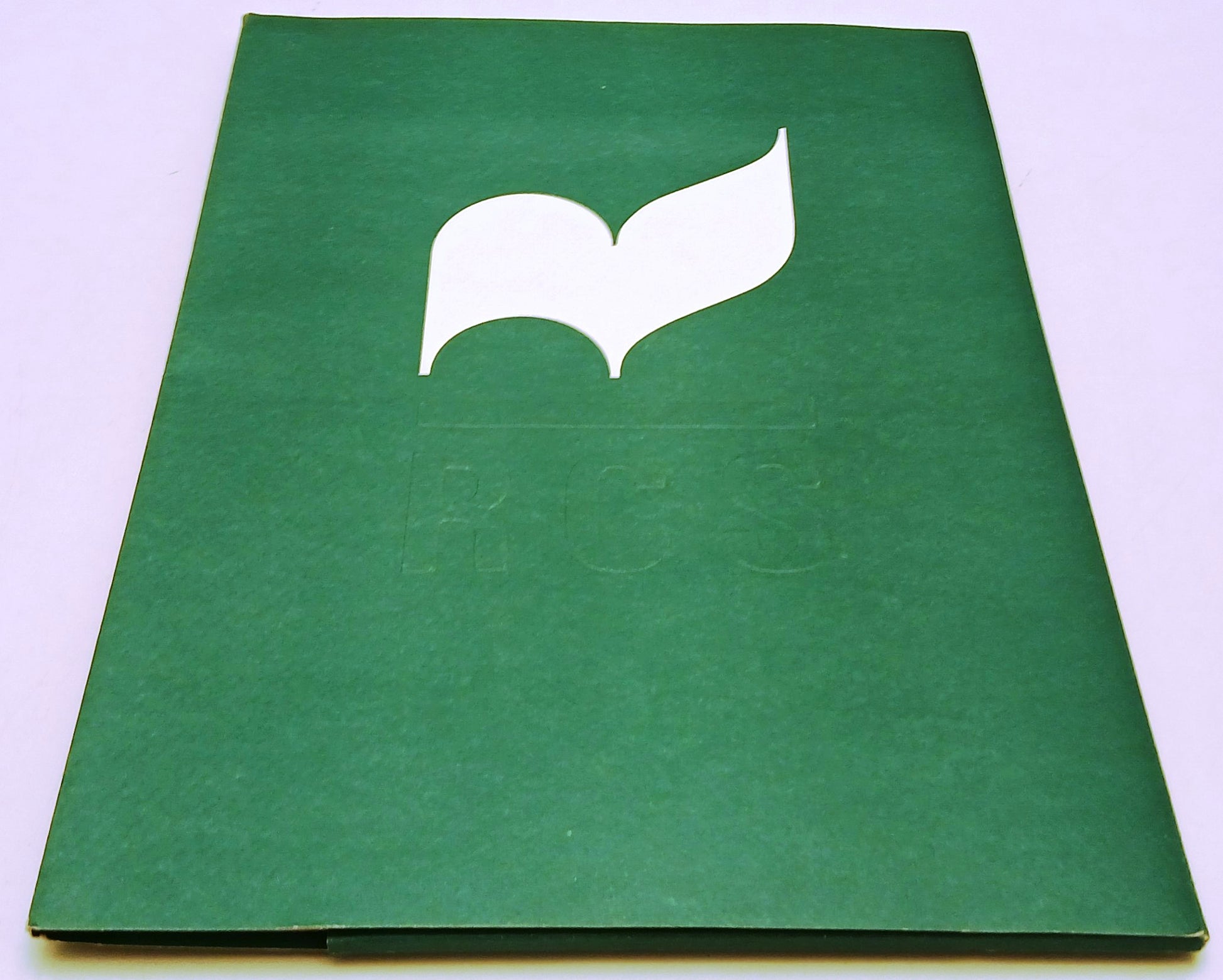 Cartella stampa film Kalifornia - Dominic Sena Brad Pitt Juliette Lewis- RVSa836