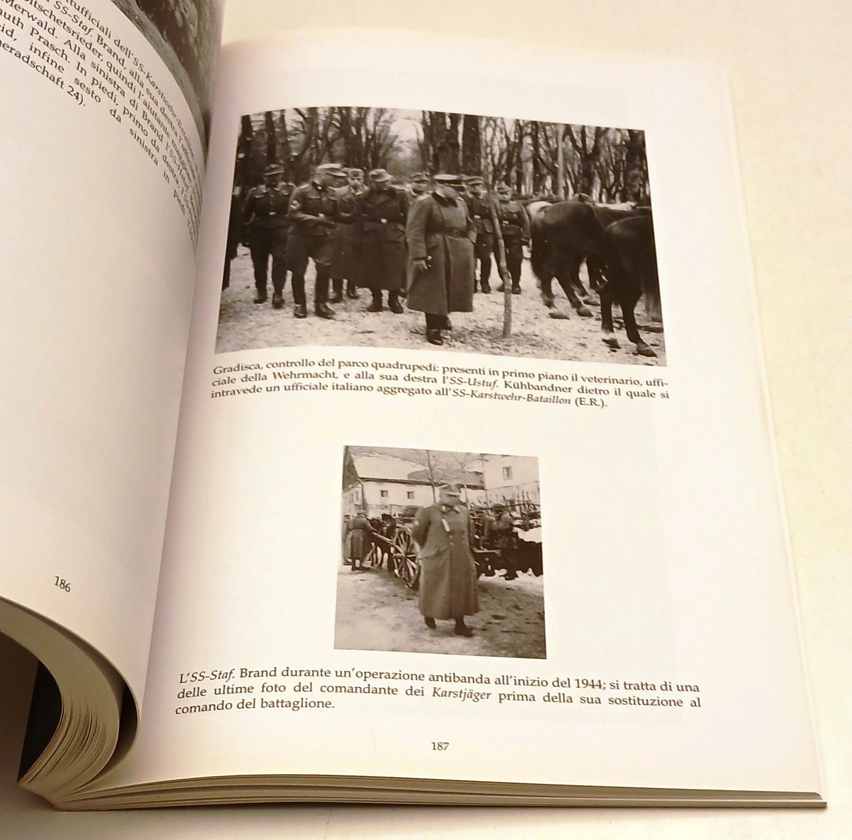Karstjager Guerriglia controguerriglia OZAK- Corbatti Nava- MADM- 1a ed.- YFS798