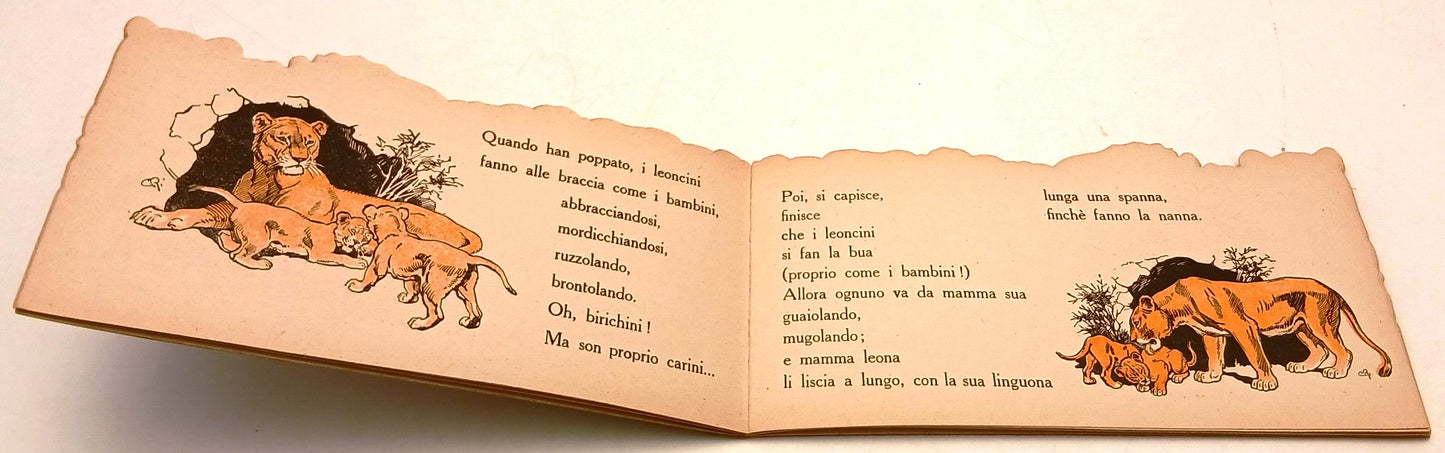 Il mio serraglio Il leone- Ambrosi Romanelli- Tirrenia- 1a ed.- sagomato-RVSa988