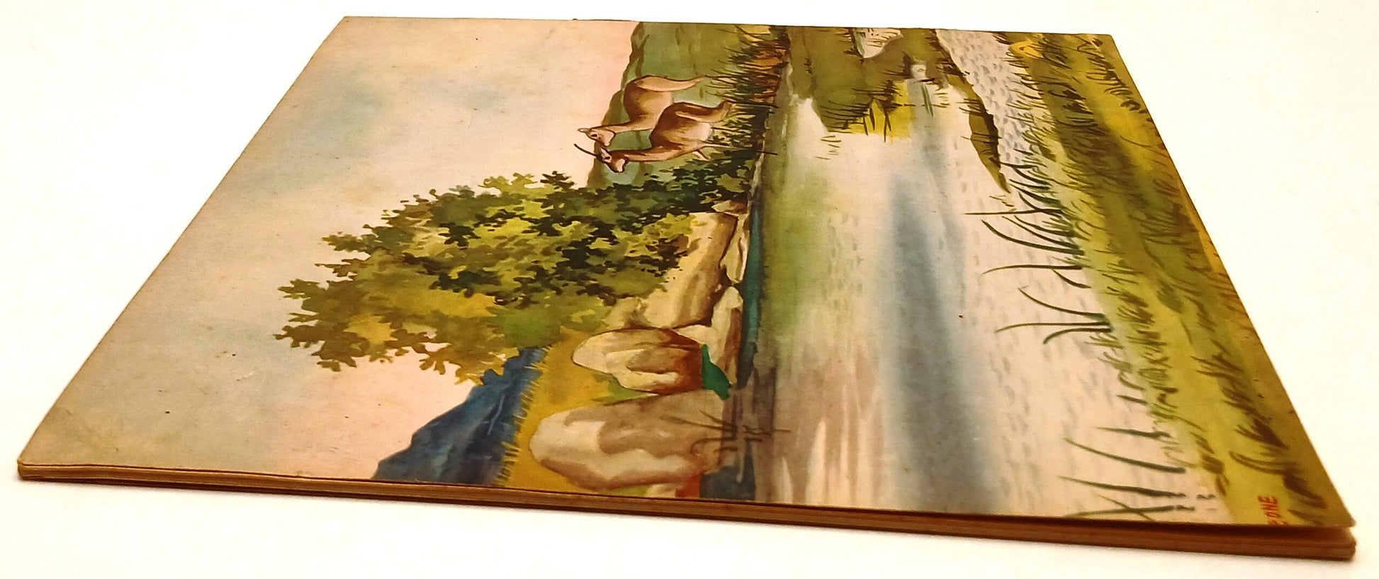 Il libro della Jungla - Rudyard Kipling - Gino Conte Rosa d'Oro - RVSa1008