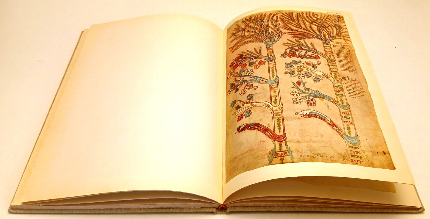 Il libro delle Figure dell'Arte di Gioachino Fiore - Leone Tondelli- SEI- YFS778