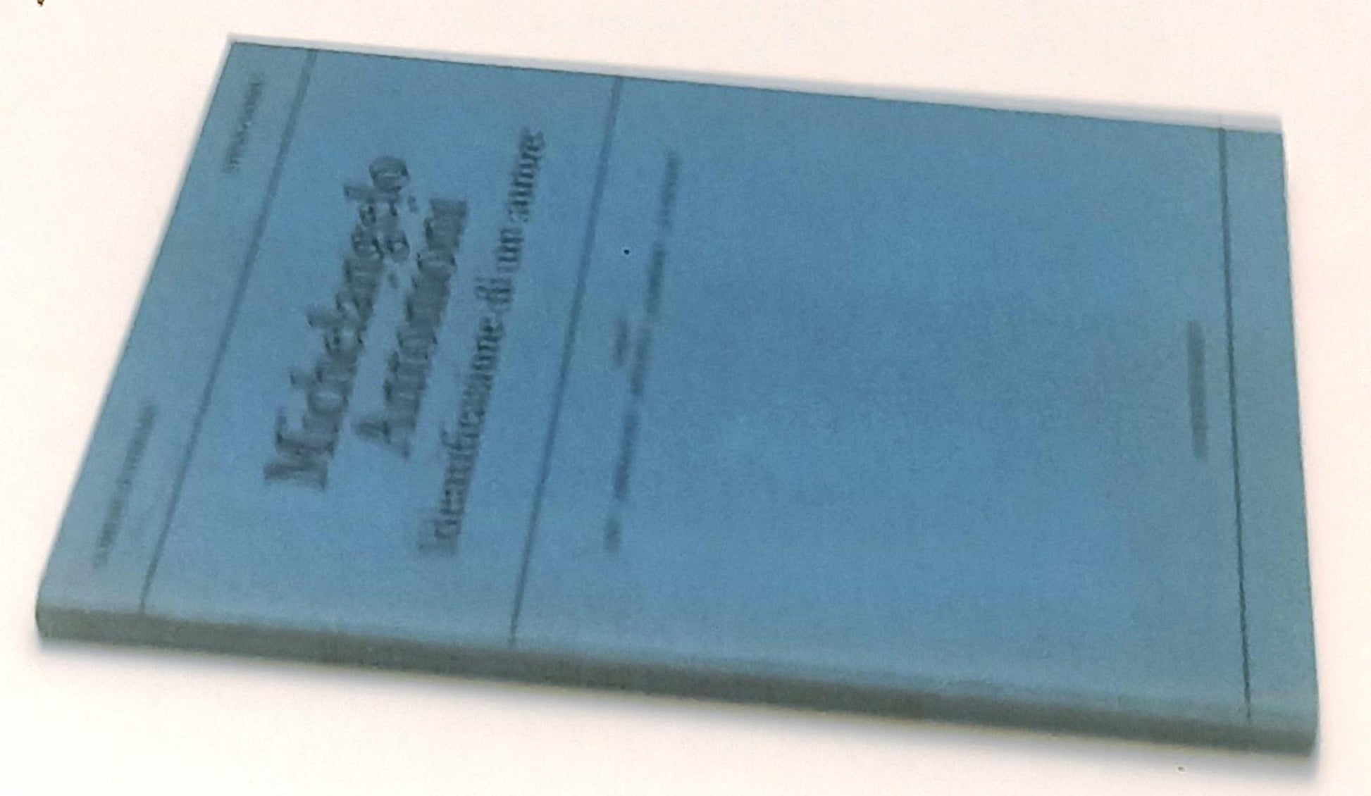 LW- MICHELANGELO ANTONIONI IDENTIFICAZIONE DI UN AUTORE- PRATICHE- 1983-B-YFS958