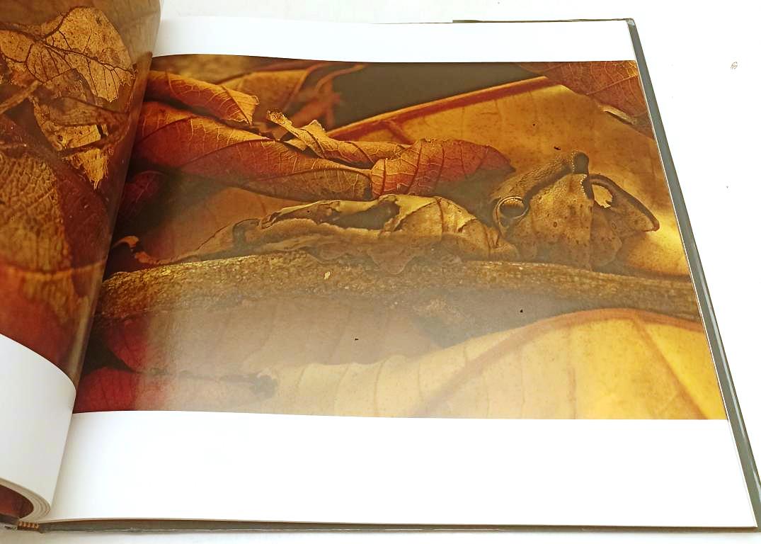 LZ- MIMETISMO - ART WOLFE - EQUATORE --- 2006 - CS - YFS364