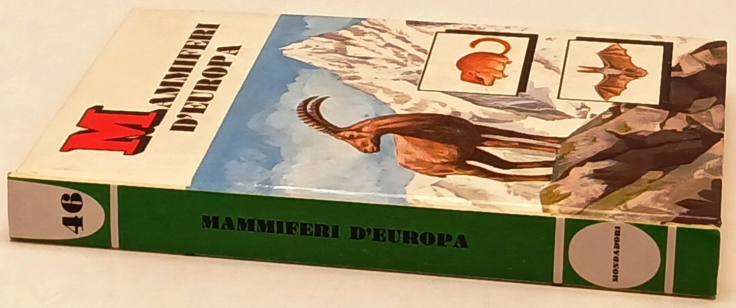 Piccole Guide Mondadori - illustrato a colori - scegli il titolo - ZFS164