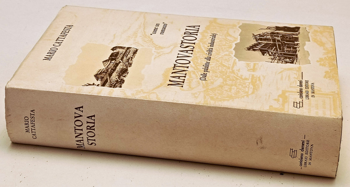 Mantovastoria Mantova Storia Palafitte civilta' industriale- Cattafesta -YFS969