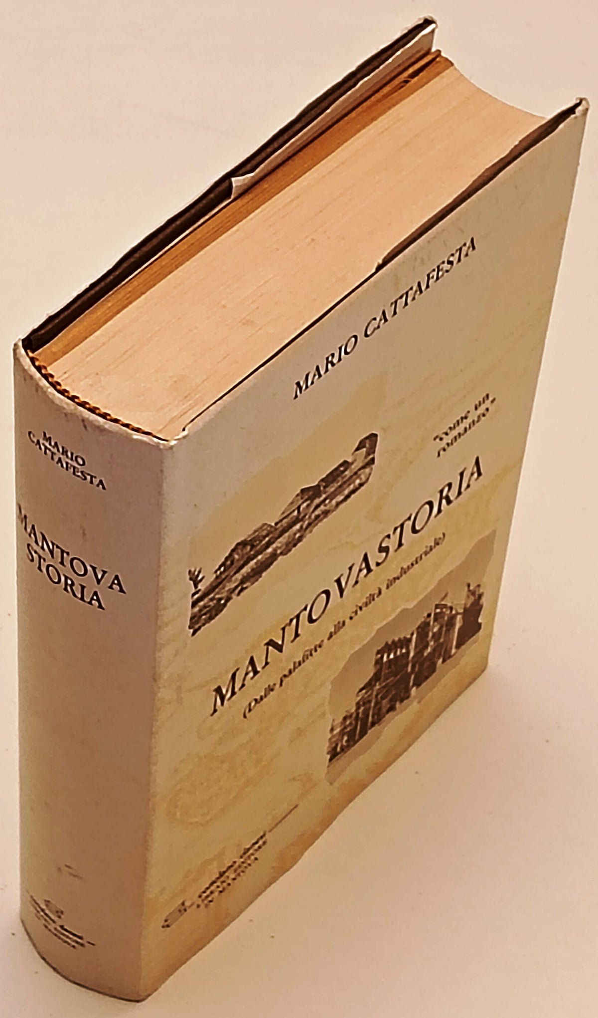 Mantovastoria Mantova Storia Palafitte civilta' industriale- Cattafesta -YFS969